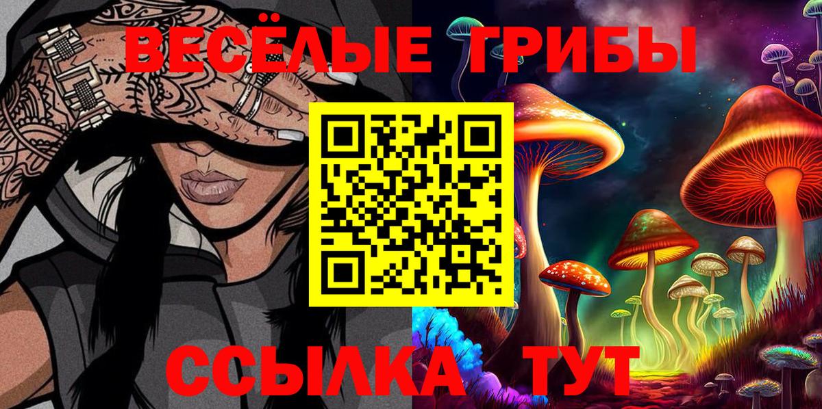 купить  сайты  Вход с VPN  Нижнеудинск  Псилоцибиновые грибы Cubensis 